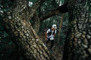 BIB: 
                            <button type="button" onclick="openModal(25392540)" class="btn btn-primary btn-sm float-right btn-popup" data-toggle="modal" data-target=".modal-high-quality">
                        <i class="fas fa-shopping-cart"></i> Add to Cart
                    </button>
                                            <button type="button" onclick="isThisMe(25392540, true)" class="btn btn-success btn-sm float-right btn-popup btn-isme hidden" data-toggle="tooltip" data-placement="bottom" title="นี่คือรูปของคุณใช่ไหม คลิกที่นี่เพื่อเอาเข้าอัลบั้ม">
                        <i class="fas fa-plus"></i> Add to album
                    </button>
                    <button type="button" onclick="isThisMe(25392540, false)" class="btn btn-warning btn-sm float-right btn-popup btn-isnotme hidden">
                        <i class="fas fa-ban"></i> Remove from album
                    </button>